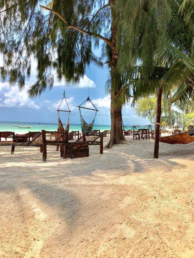 קיוונגווה Simba Beach Zanzibar מראה חיצוני תמונה
