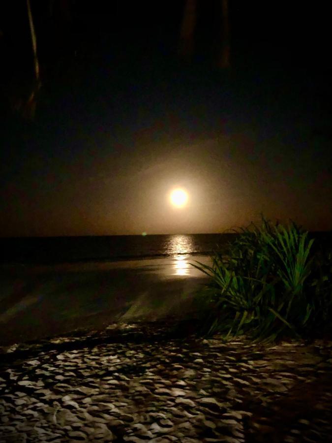 קיוונגווה Simba Beach Zanzibar מראה חיצוני תמונה